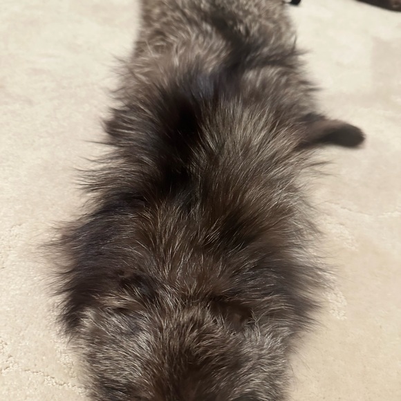 Vintage Fur animal cape/shawl - Picture 3 of 10